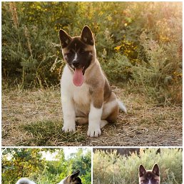 ��������, �����, 29 ���