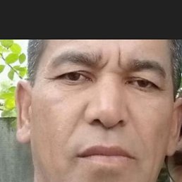 ������, ���������, 54 ����