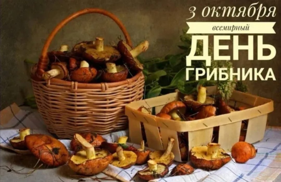  - 3  2023  13:30