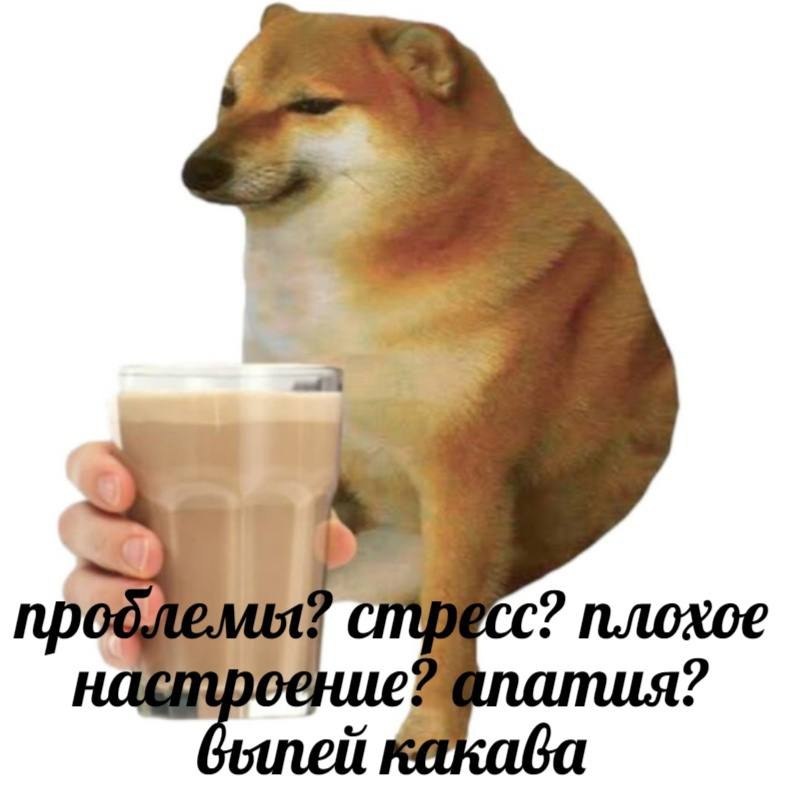    - 22  2023  17:14