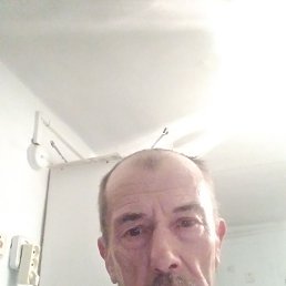 �����, ���������, 66 ���