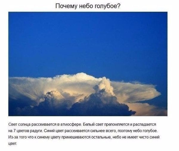 Ответы на детские вопросы, от которых «взрывается» мозг.