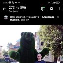  , , 44  -  11  2023    