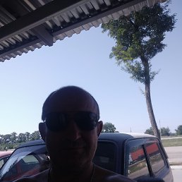 ������, ������, 43 ����