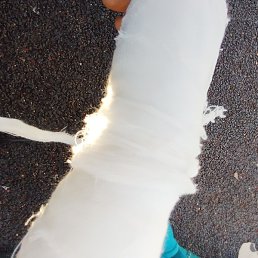 ����, ������, 20 ���