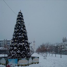 �����, ����������, 57 ���