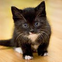 ���� ����, ������, 39 ��� - ��������� 2 ����� 2023 � ������ ���� ����������