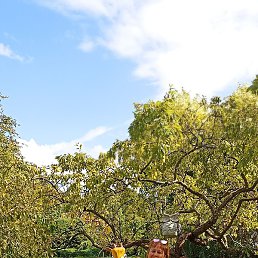 ����, ��������, 59 ���