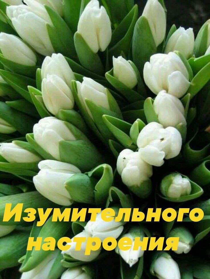   ! - 13  2023  10:38