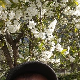 ���� ������, �����-���������, 65 ��� - ��������� 25 ���� 2023