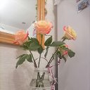 ���� Irena, ��������� - ��������� 29 ���� 2023 � ������ ���� ����������