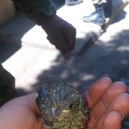 ���� ������, �����, 48 ��� - ��������� 18 ������� 2023