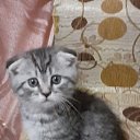 ���� ������, �������, 50 ��� - ��������� 19 �������� 2023 � ������ ���� ����������