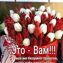 ���� ������, �������, 51 ��� - ��������� 4 ����� 2023