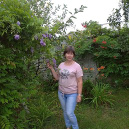 ���� �����, �����, 56 ��� - ��������� 10 ���� 2023