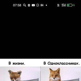 ���� �����, ������, 53 ���� - ��������� 18 ��� 2023