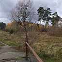 ���� ������, ������ - ��������� 28 ����� 2023 � ������ ���� ����������