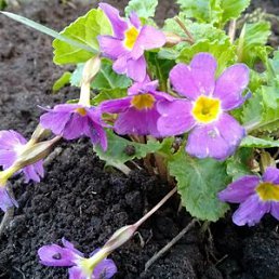 ���� �������, ���������, 35 ��� - ��������� 20 ������ 2023