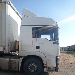 Ali Ali, ���������, 46 ���