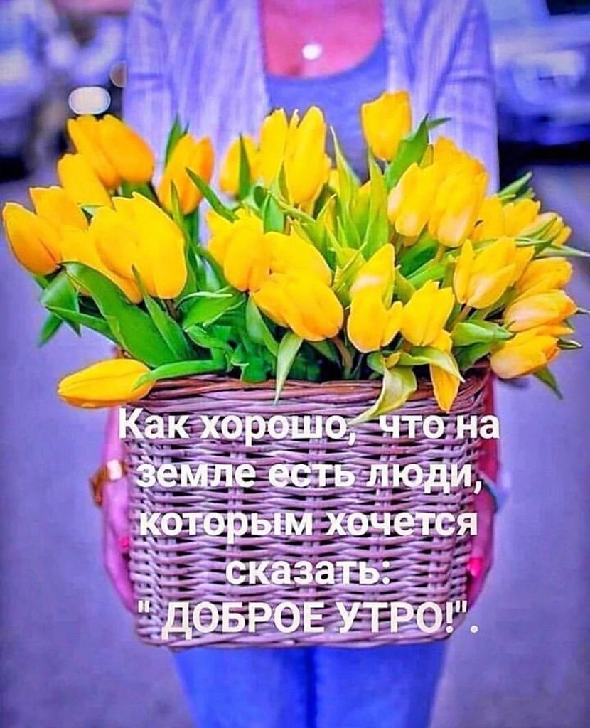   - 21  2023  07:04