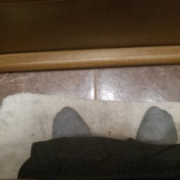 ����, �������, 20 ���