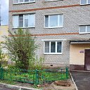 ���� ����, ������, 38 ��� - ��������� 3 ��� 2023 � ������ ���� ����������