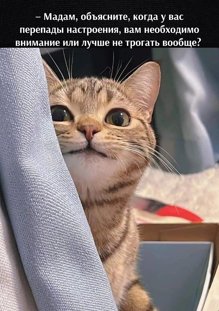       - 12  2023  13:02