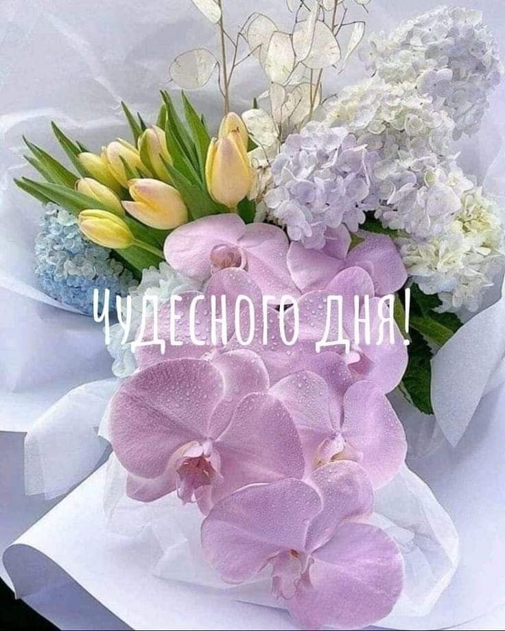   ,    . - 12  2023  22:37