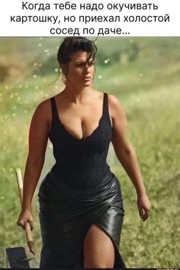  ,     ,   ,     .