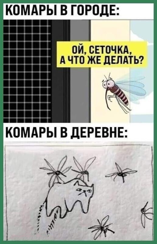   - 21  2023  00:44