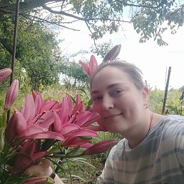 �������, �����-���������, 33 ����