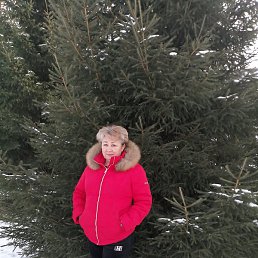 ������, ������, 37 ���