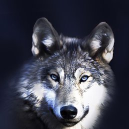 ���� ����, ���������, 35 ��� - ��������� 2 ������� 2023