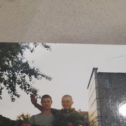 �������, ������, 41 ���