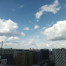 , , 24 