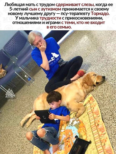 Мальчик более чувствителен к людям и понимает, когда к нему относятся искренне, а когда наигранно. ...