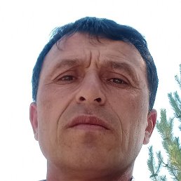 , , 46 