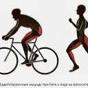 ���� �������, ������ - ��������� 30 �������� 2023 � ������ ������ ��������