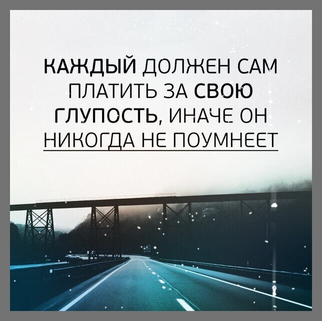 ☆ ☆ - 5  2023  08:35
