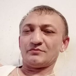 ,  , 51 