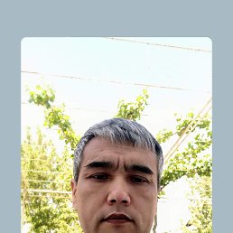 ���� �����, �����, 48 ��� - ��������� 4 ���� 2023