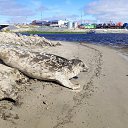 ���� ������, ������, 61 ��� - ��������� 11 ������� 2023