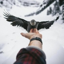 �����, ������, 82 ����