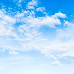 ������, ���������, 66 ���