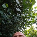 ���� �������� ������, ���������, 56 ��� - ��������� 11 ����� 2023 � ������ ���� ����������