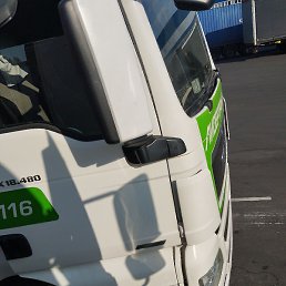 ������, ��������, 41 ���