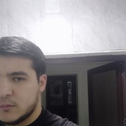 , 29, 