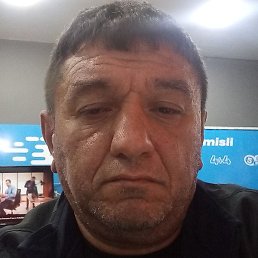 ������, ����, 46 ���