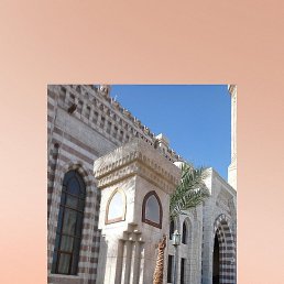 �����, ������, 55 ���