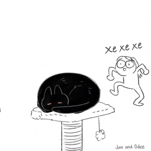 ,   ,    : - 2